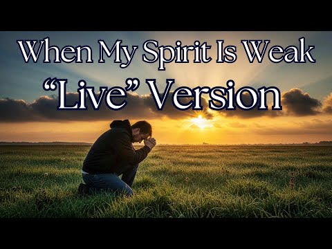 When My Spirit Is Weak World Hive