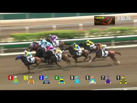 2022 10 09 沙田 第一場 皮具之星 潘頓