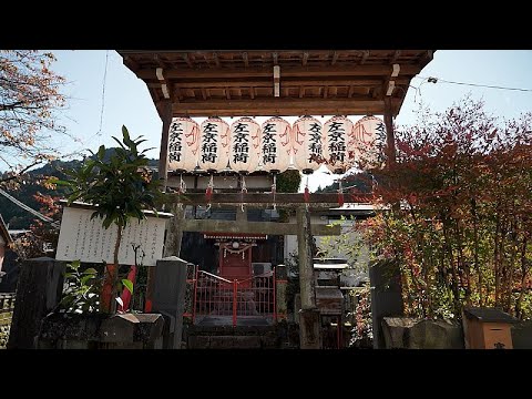 Discover Satoyama: How Japanese communities live in harmony with nature