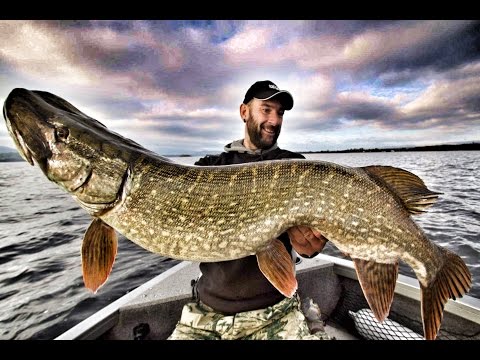 MONSTER PIKE FISHING IN IRELAND - Episode 1