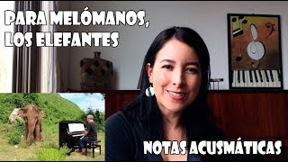 Para melómanos, los elefantes | Notas Acusmáticas