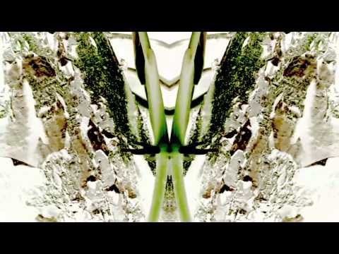 Playboy - In Da Jungle (Mod Wheel Safari Mix) (1996)