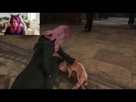 Von Tests, Katzen und keine Zeit