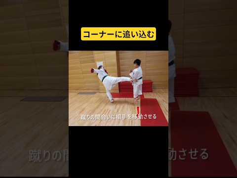 【コーナーに詰める】逃げ道をふさいでから攻撃 | カウンター #空手道 #戦法 #ショート