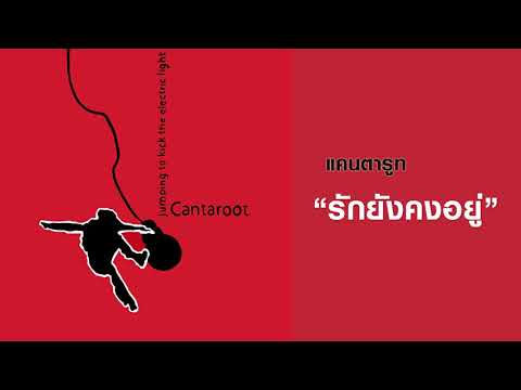 CANTAROOT (แคนตารูท) : รักยังคงอยู่  (Remaster official Audio)