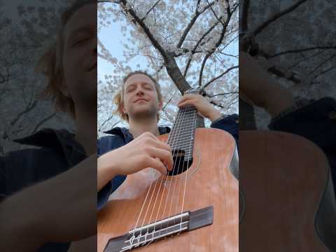 ticky time the sun is setting #classicalguitar #brahmsguitar #originalmusic