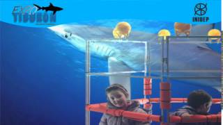 DIA 2 Expo Tiburon171