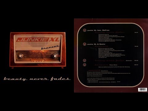 Junkie XL feat. Saffron - Beauty Never Fades