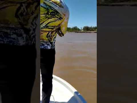 Pescando un dorado en Concordia