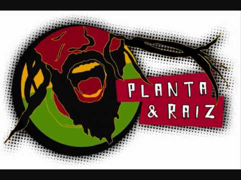 Planta e Raiz - Se Liga Natty Dread