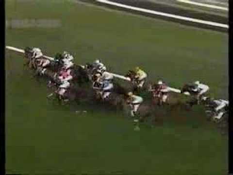 1994 Doncaster Handicap-Pharaoh