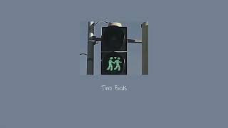 Cover art for Two birds