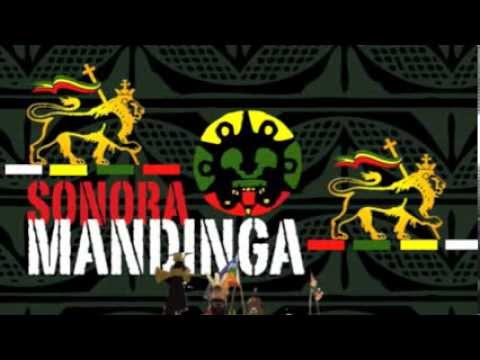 Sonora Mandinga Feat Petrona Martinez-Cumbia del Dolor-