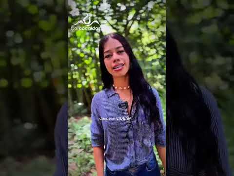 Cideam Victoria Caldas