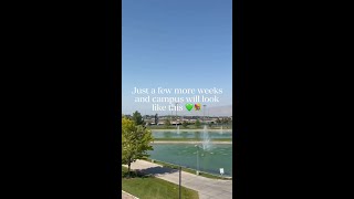 Download lagu Spring On UVU Campus mp3