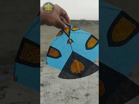 Smallest 6 Tawa kite flying tutorial