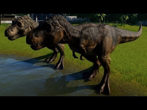 Jurassic World Evolution - 2 Tyrannosaurus Rex vs 2 Spinoraptor (1080p 60FPS)
