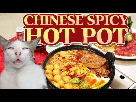 Can Cats Eat Spicy Food 😼.  FUNNY CAT VIDEOS😺
