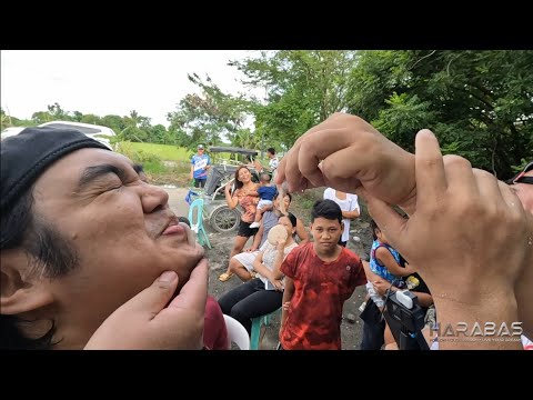 EP688-P4 - Happy Birthday, Harabas!