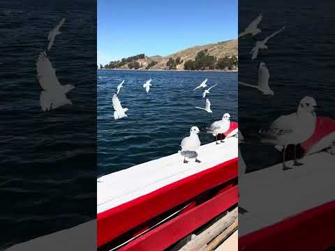 Estrecho de Tiquina en Titicaca