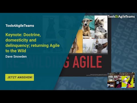 T4AT 2020 – Doctrine, Domesticity & Delinquency | Returning Agile to the Wild | Dave Snowden