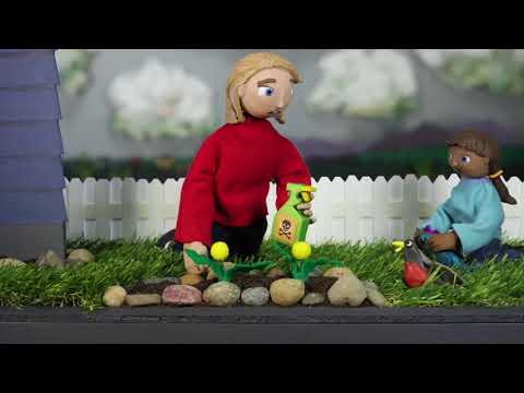 An Environmental Minute: Natural Yard Care... "Water Wisely"