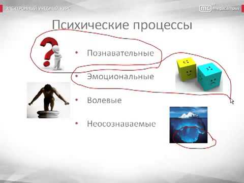 Психология урок 12 Структура психики