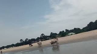 Gambia: Low Tide Brufut Beach