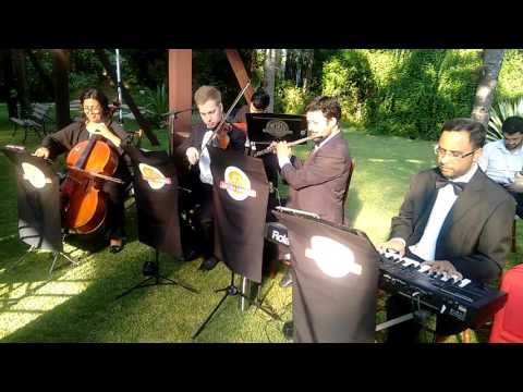 Bethoven 5 Secret´s