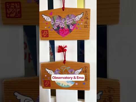 🌸Spend the day in Atami to see the cherry blossoms!