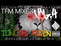 TFM Mixes Vol4 feat Jungle Alien 