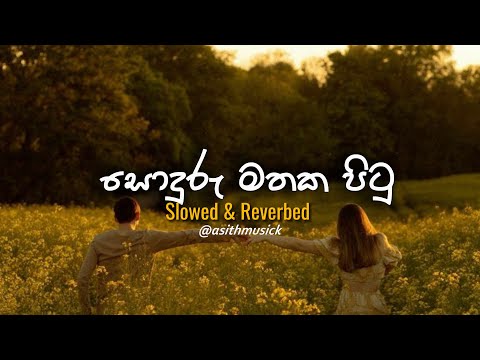 Soduru Mathaka Pitu ( සොඳුරු මතක පිටු ) -  ( Slowed + Reverb )