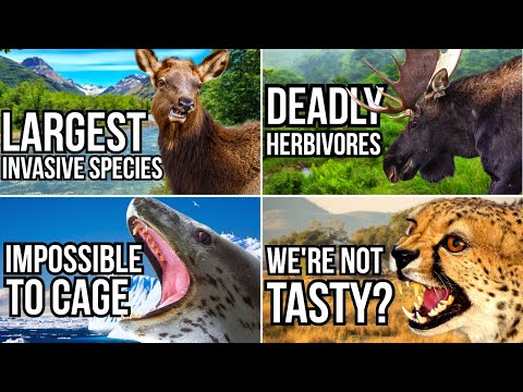 10 Of The Best Tsuki Videos Of 2025 - Thanks For A Great Year :)