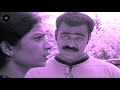 Episode 477 Chakravakam Telugu Daily Serial