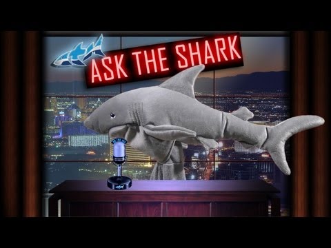 ATM Ask The Shark-S01E02-"Algae Control"
