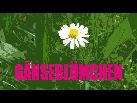 J.B.O. - Gänseblümchen (official video)