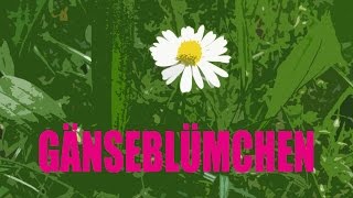 J.B.O. - Gänseblümchen (official video)