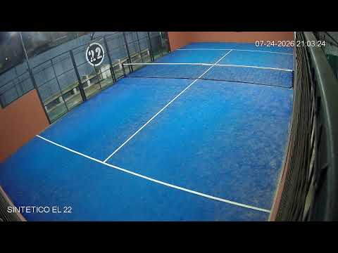 Sintetico el 22 - Carlos Tejedor