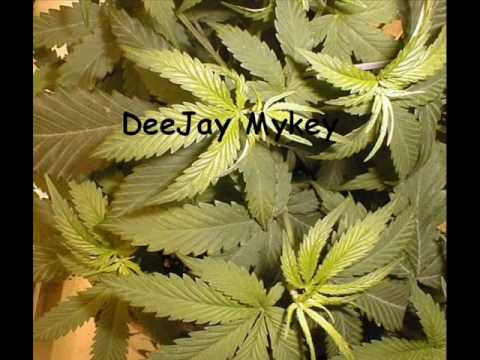 Miss Independent Riddim Mix (DJ Mykey)