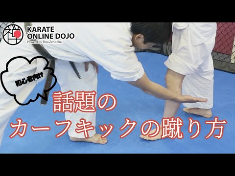 初心者だってカーフキックをカッコよく蹴りたい！【簡単空手マスターシリーズ】#07