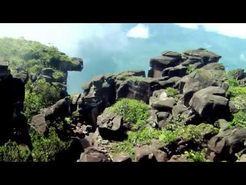 Positividad - Roe Delgado