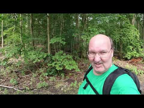 MongoTV_3395 - Danish Vlog - Meget Lille Skovtur Lørdag