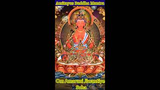 Download lagu Amitayus Buddha Mantra (Om Amarani Jiwantiye Soha)|Buddhist Mantra| Buddha|Longevity Mantra mp3 Download lagu Amitayus Buddha Mantra (Om Amarani Jiwantiye Soha)|Buddhist Mantra| Buddha|Longevity Mantra mp3