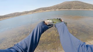 Un japonés pesca en La Laborcita Leon guanajuato