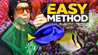 My secret to catching fish in a reef tank 🐠