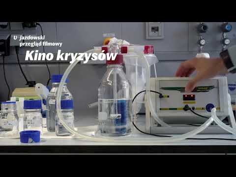 Kino kryzysów. Przegląd filmowy