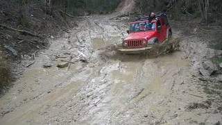 preview picture of video 'Wrangler JK 4x4 in Wombat Forest'
