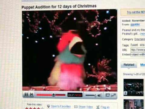 Happy Birthday gguider!