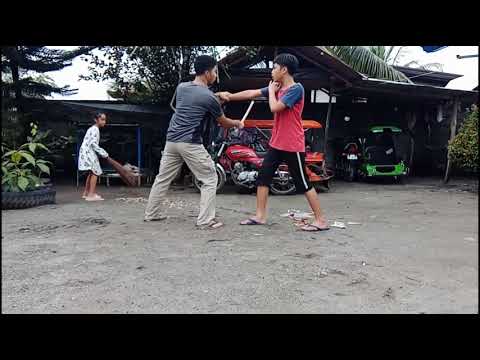 Disarming techniques on the 12 zone basic strikes.