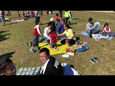 小小綠巨人好客任務 6